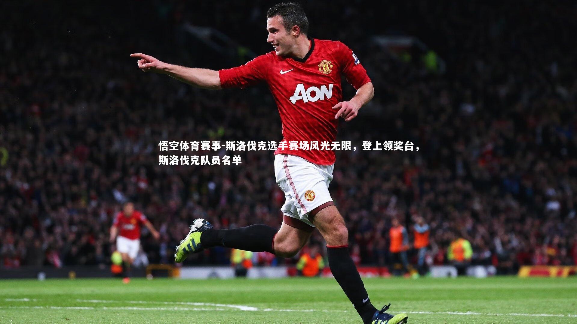 斯洛伐克选手赛场风光无限，登上领奖台，斯洛伐克队员名单