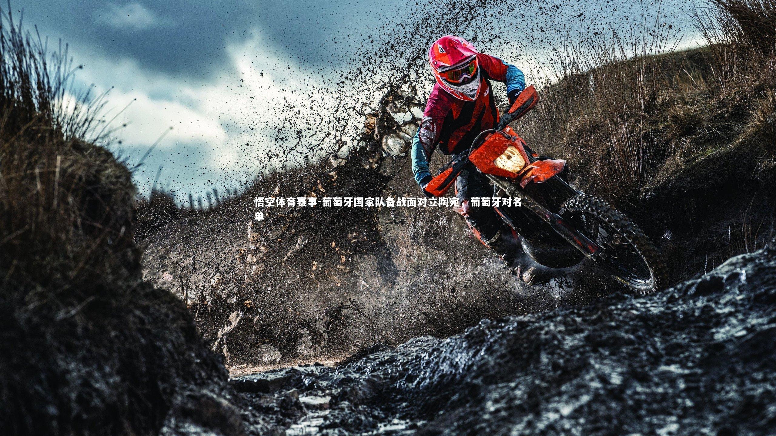 葡萄牙国家队备战面对立陶宛，葡萄牙对名单