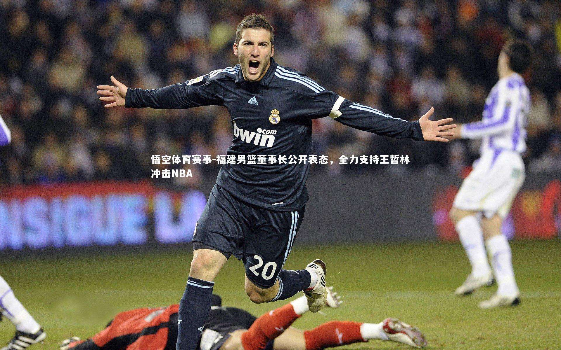 福建男篮董事长公开表态,全力支持王哲林冲击NBA
